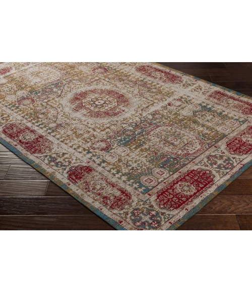 Surya Amsterdam AMS-1011-5x76 rug