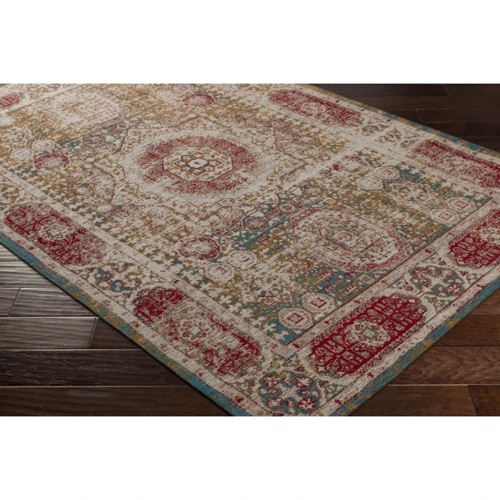 Surya Amsterdam AMS-1011-5x76 rug