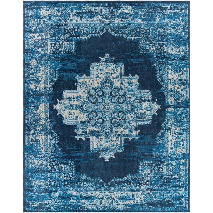 Surya Amsterdam AMS-1024 8  x 10  Rug