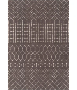 Surya Amsterdam AMS1026 Charcoal Cream Area Rug 2 ft. X 3 ft. Rectangle
