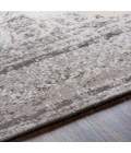 Surya Amsterdam AMS-1029 2' x 3' Rug