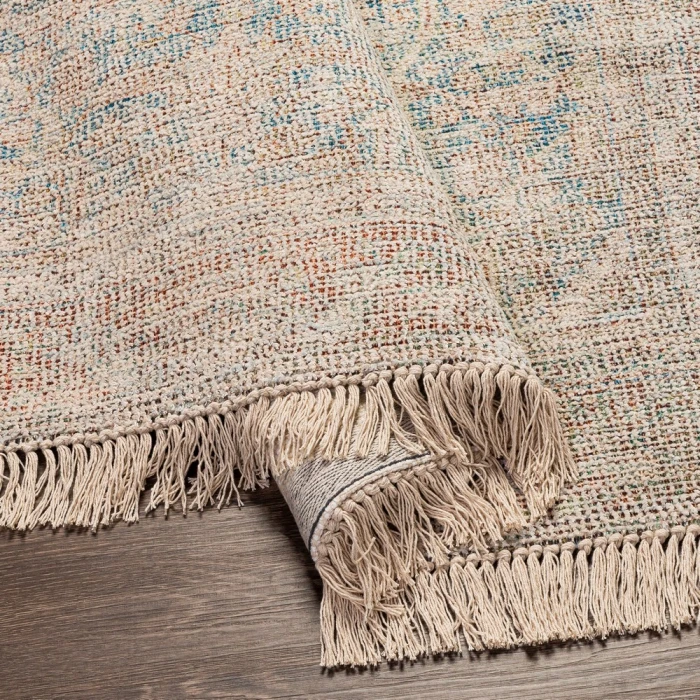 Surya Amasya AMY-2303 2' x 3' Rug