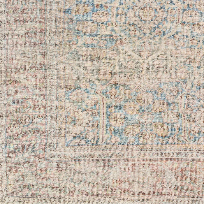 Surya Amasya AMY-2303 2' x 3' Rug