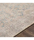 Surya Amasya AMY-2303 2' x 3' Rug