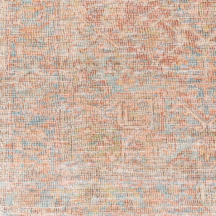 Surya Amasya AMY-2306 2' x 3' Rug