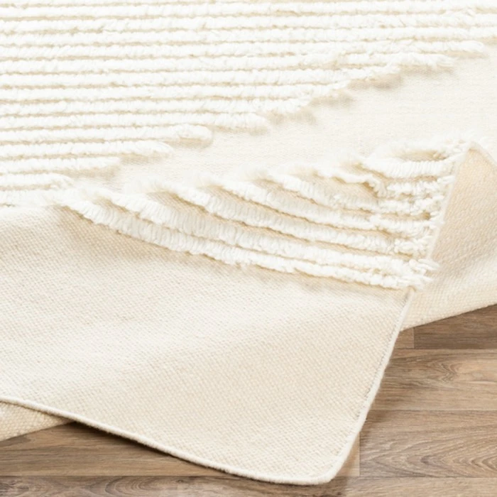 Livabliss Apache APA-2301 Area Rug