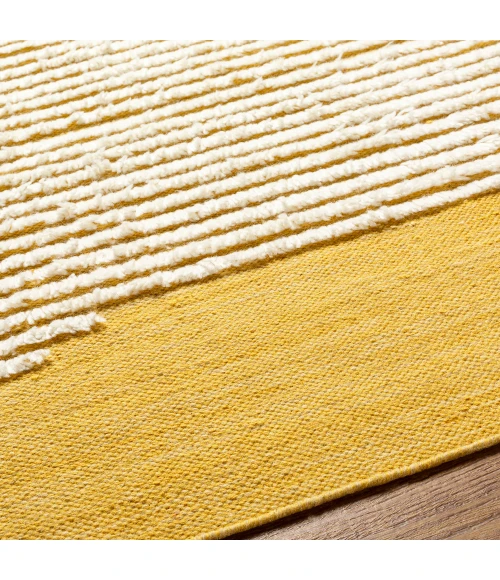 Livabliss Apache Rug APA2312