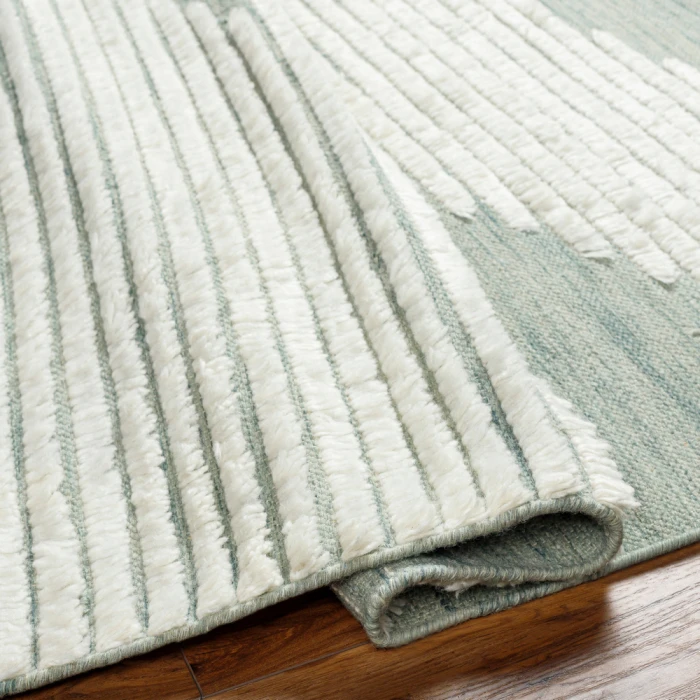 Livabliss Apache Rug APA2313