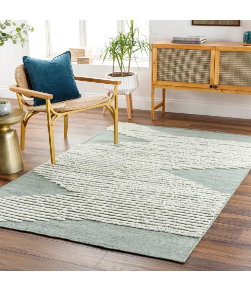 Livabliss Apache Rug APA2313