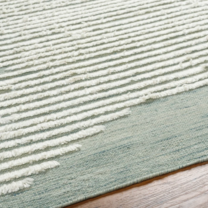 Livabliss Apache Rug APA2313