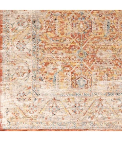 Livabliss Aspendos Rust APS-2312 2 ft. 7 in. X 7 ft. 3 in. Rect. Rug