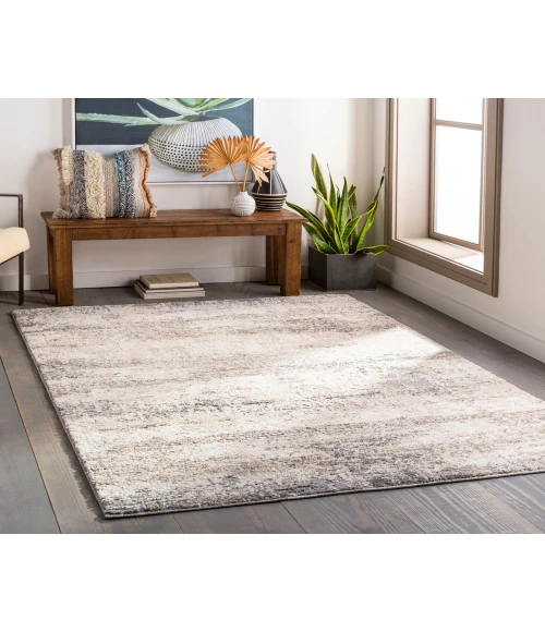 Andorra ARD-2300 67" x 9 Machine Woven Rug