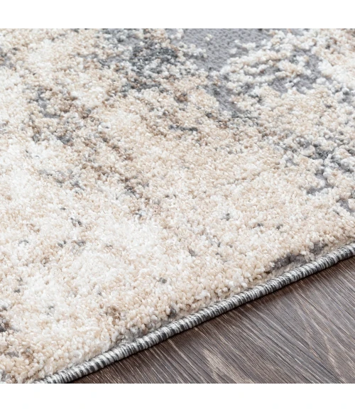 Livabliss Andorra ARD-2300 2  x 3  Rug