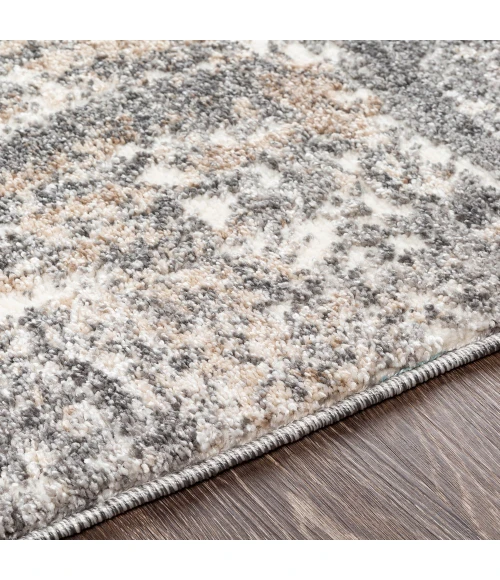 Livabliss Andorra ARD-2302 2  x 3  Rug