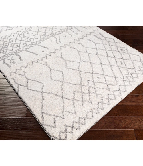 Livabliss Andorra ARD-2303 7 10 x 10  Rug