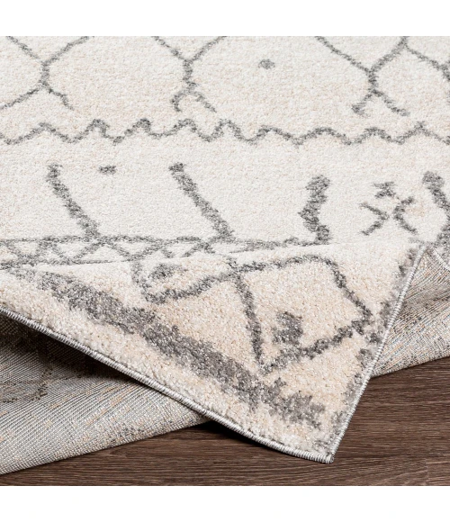 Livabliss Andorra ARD-2303 7 10 x 10  Rug