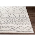 Livabliss Andorra ARD-2303 7 10 x 10  Rug