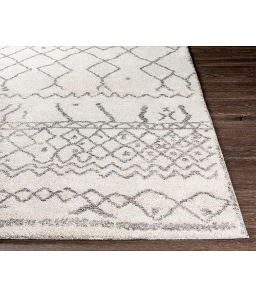 Livabliss Andorra ARD-2303 7 10 x 10  Rug