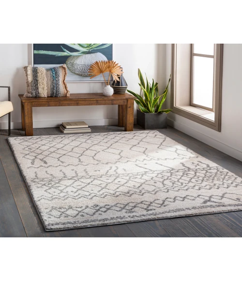 Livabliss Andorra ARD-2303 7 10 x 10  Rug