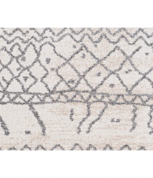 Livabliss Andorra ARD-2303 7 10 x 10  Rug