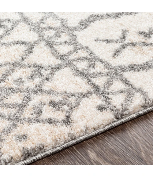 Livabliss Andorra ARD-2303 7 10 x 10  Rug