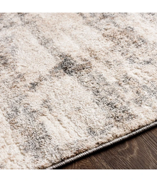 Livabliss Andorra ARD-2305 5 3 x 7 3 Rug