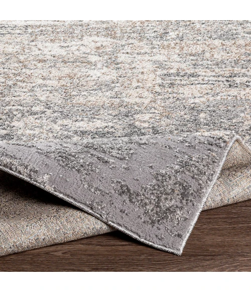 Livabliss Andorra ARD-2306 5 3 x 7 3 Rug