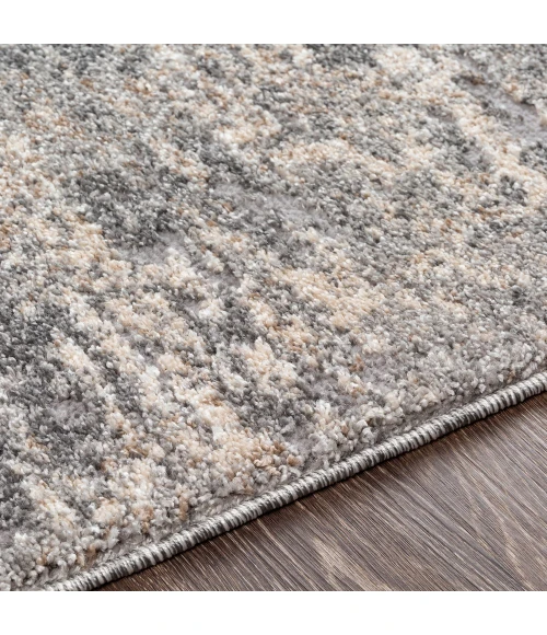 Livabliss Andorra ARD-2306 5 3 x 7 3 Rug