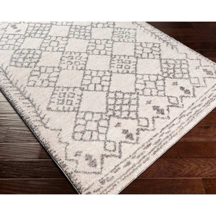 Livabliss Andorra ARD-2307 2  x 3  Rug
