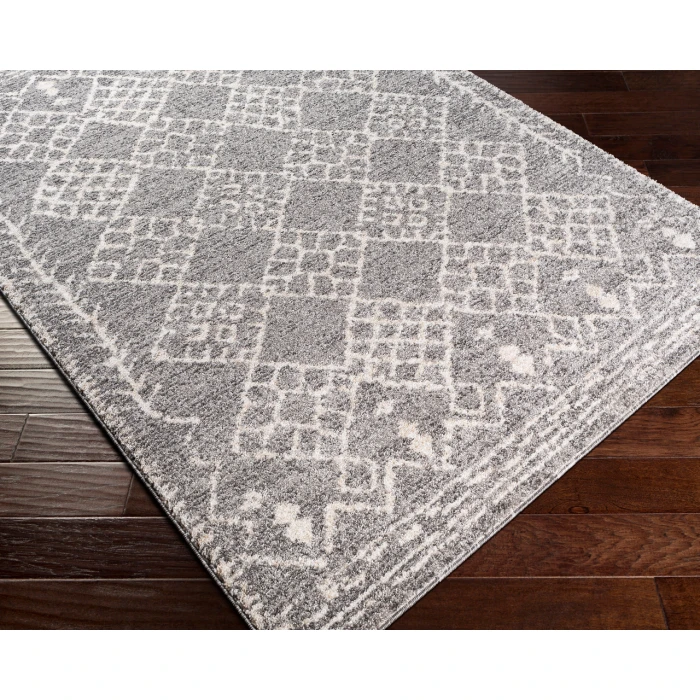 Livabliss Andorra ARD-2308 2  x 3  Rug