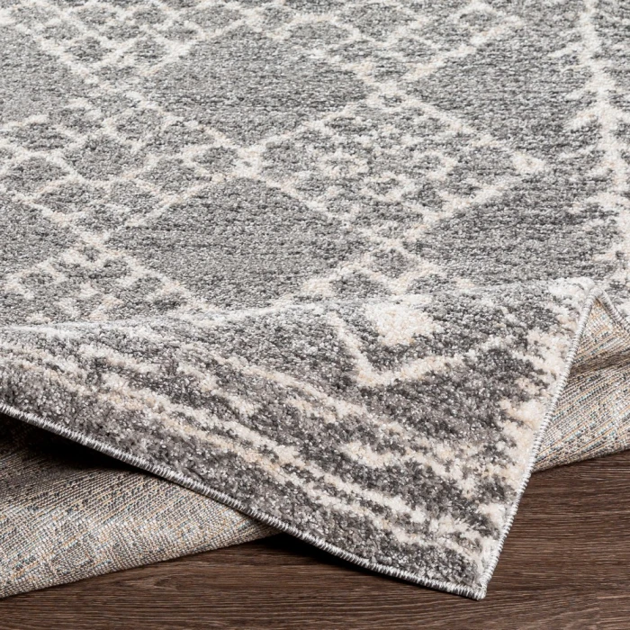 Livabliss Andorra ARD-2308 2  x 3  Rug