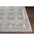 Livabliss Andorra ARD-2308 2  x 3  Rug
