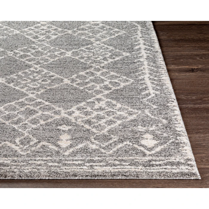 Livabliss Andorra ARD-2308 2  x 3  Rug