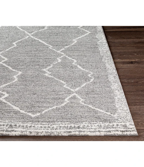 Livabliss Andorra ARD-2309 5 3 x 7 3 Rug