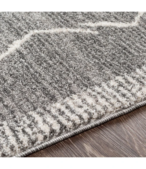 Livabliss Andorra ARD-2309 5 3 x 7 3 Rug