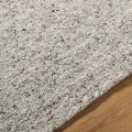 Adrianna ARI-2302 8 x 10 Handmade Rug