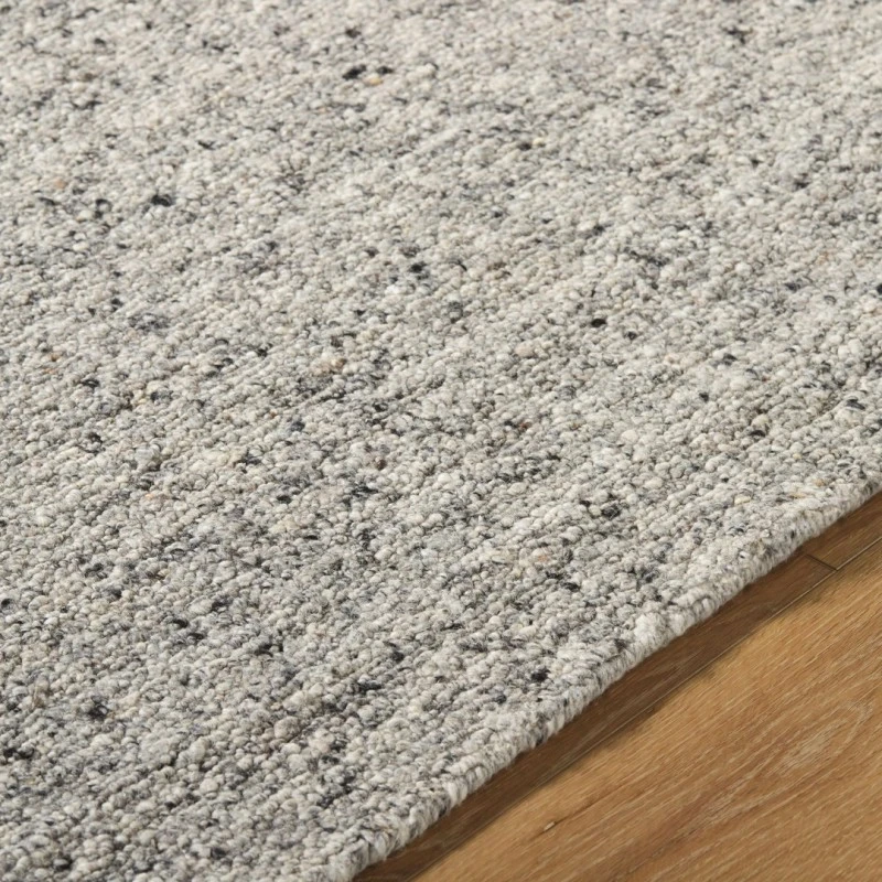 Adrianna ARI-2302 8 x 10 Handmade Rug