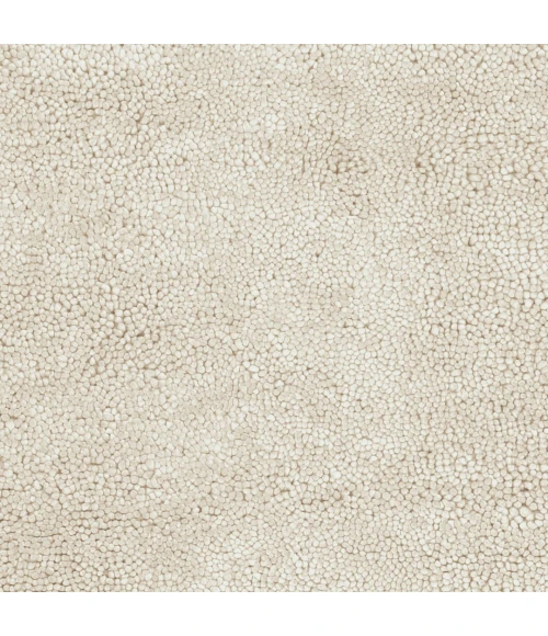 Surya Aros AROS-2-26x8 rug