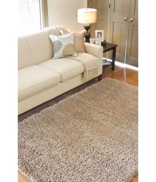 Surya Aros AROS-8-4x10 rug