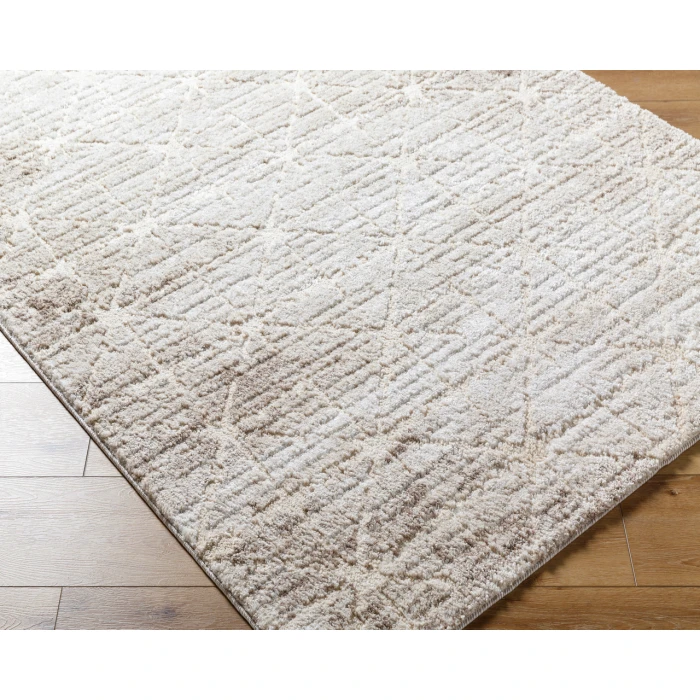 Andorra Plus ARP-2306 2 x 211" Machine Woven Rug