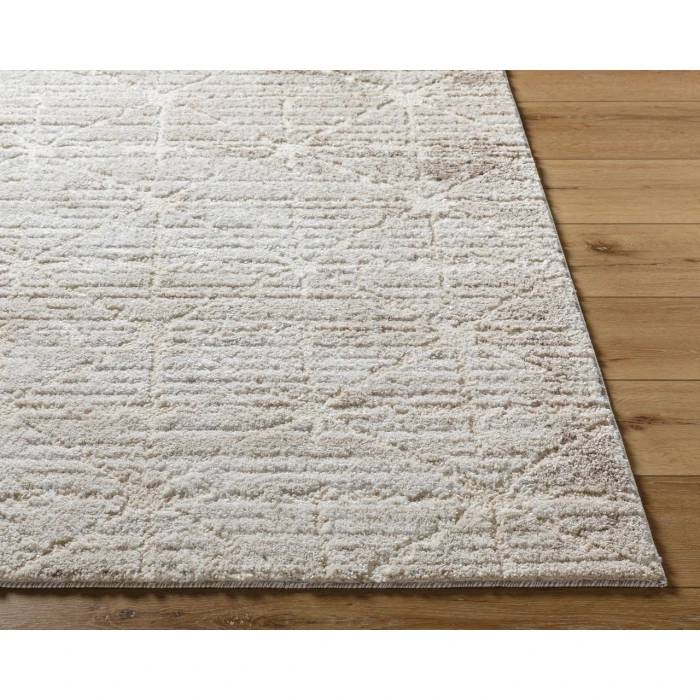 Andorra Plus ARP-2306 2 x 211" Machine Woven Rug