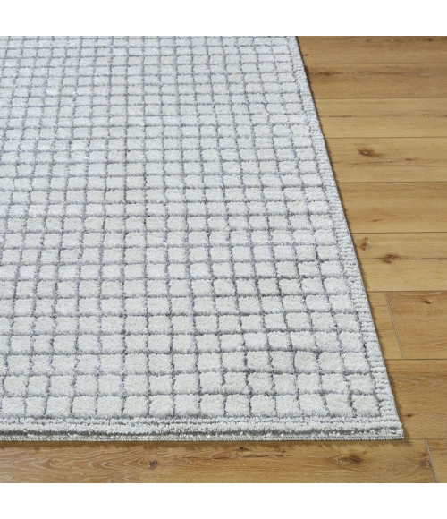 Livabliss Andorra Plus Charcoal ARP-2309 2 ft. X 2 ft. 11 in. Rect. Rug