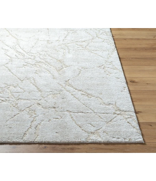 Andorra Plus ARP-2312 2 x 211" Machine Woven Rug