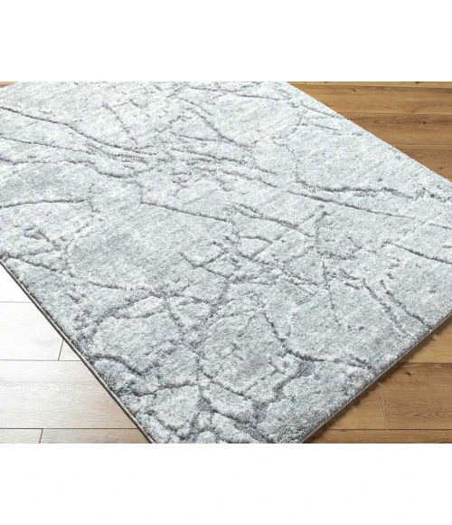 Andorra Plus ARP-2313 2 x 211" Machine Woven Rug
