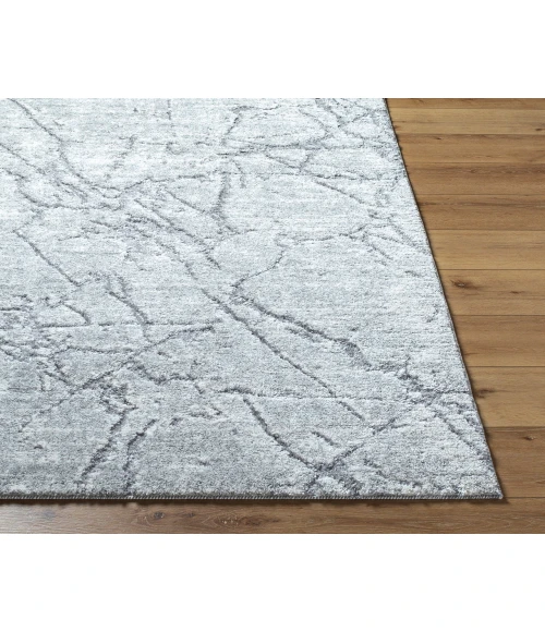 Andorra Plus ARP-2313 2 x 211" Machine Woven Rug