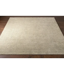 Surya Astara ASA1004 Medium Gray Khaki Area Rug 2 ft. X 3 ft. Rectangle