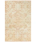 Surya Atmospheric ASC-1000-6x9 rug