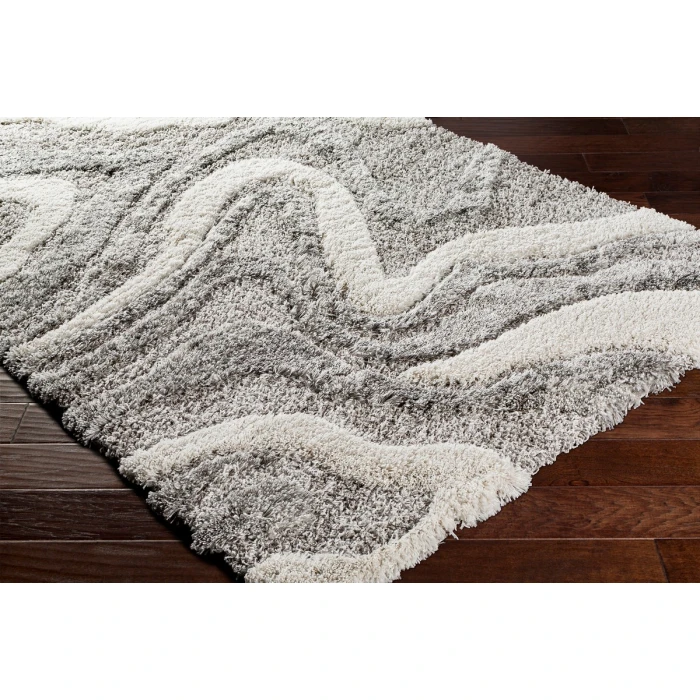Livabliss Alta shag ASG-2303 810" x 12 Rug