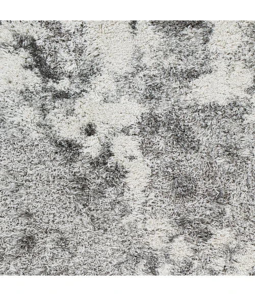 Livabliss Alta shag ASG-2304 2  x 3  Rug