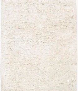 Surya Ashton ASH1300 Cream Area Rug 2 ft. X 3 ft. Rectangle
